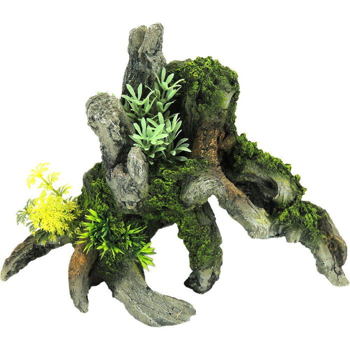 Driftwood With Plants
