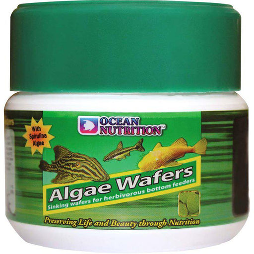 On Algae Wafers