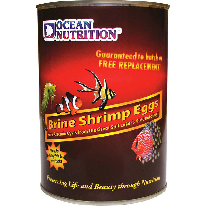On Artemia/brine Shrimp Eggs