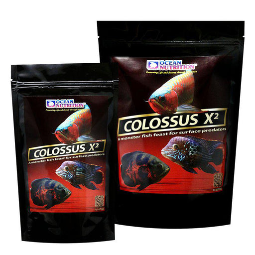 On Colossus X² Floating