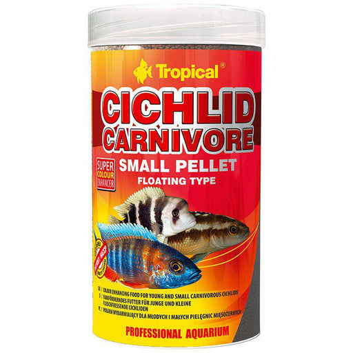 Tropical Cichlid Carnivore