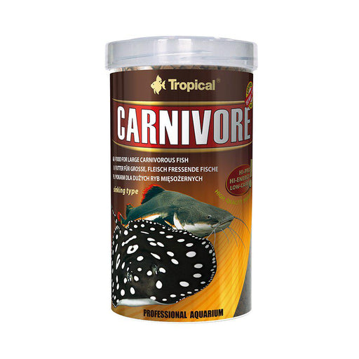 Tropical Carnivore