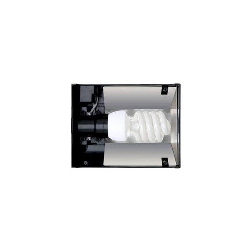 Ramp Exoterra Compact Top