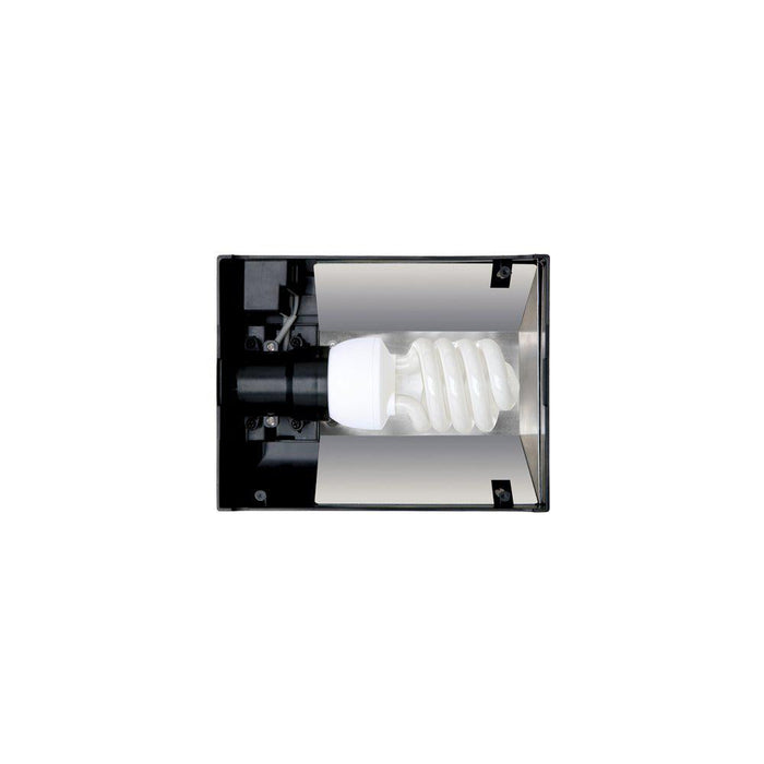 Ramp Exoterra Compact Top