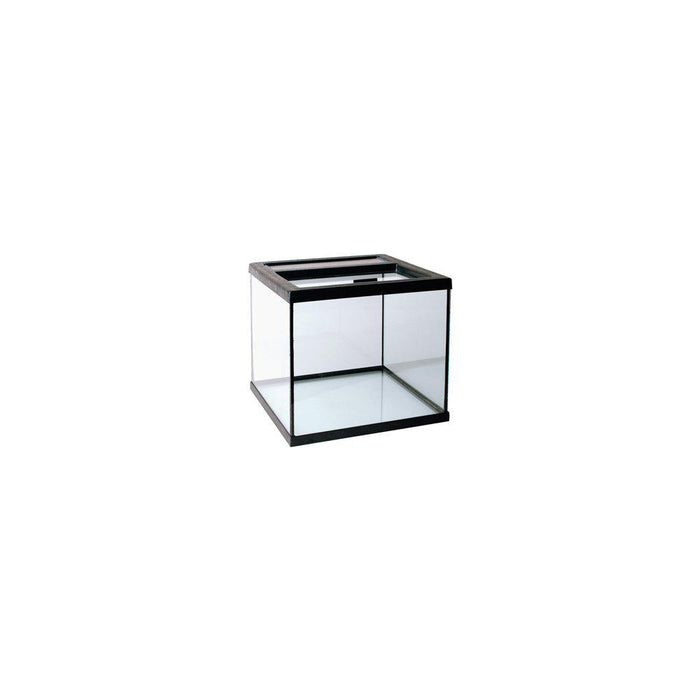 Terrarium Topp