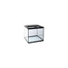 Terrarium Topp