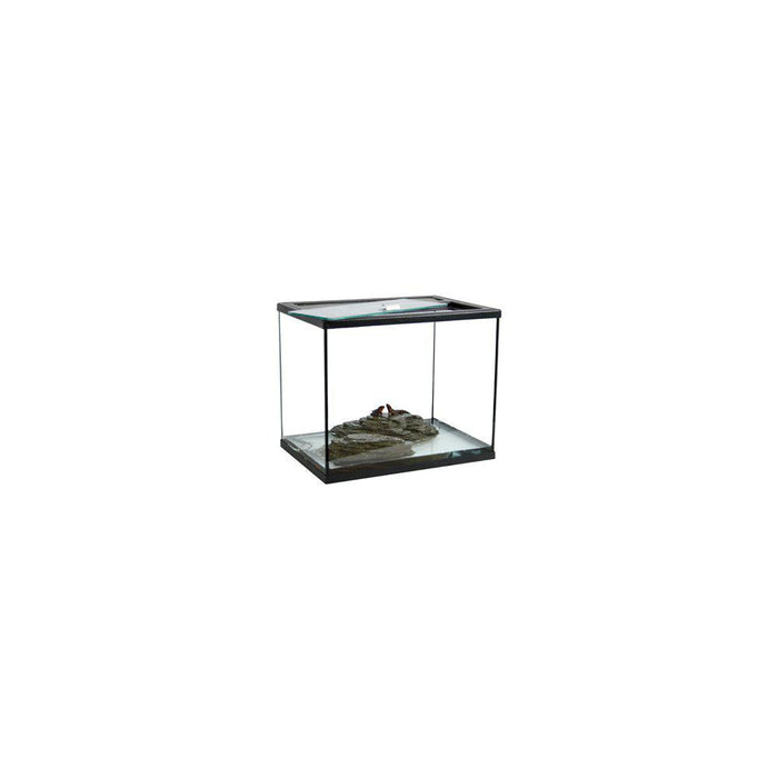 Terrarium Topp