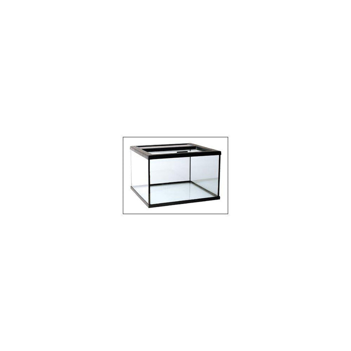Terrarium Topp
