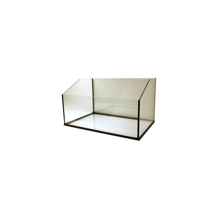 Terrarium Sköldpadds