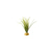 Turtle Grass Exoterra