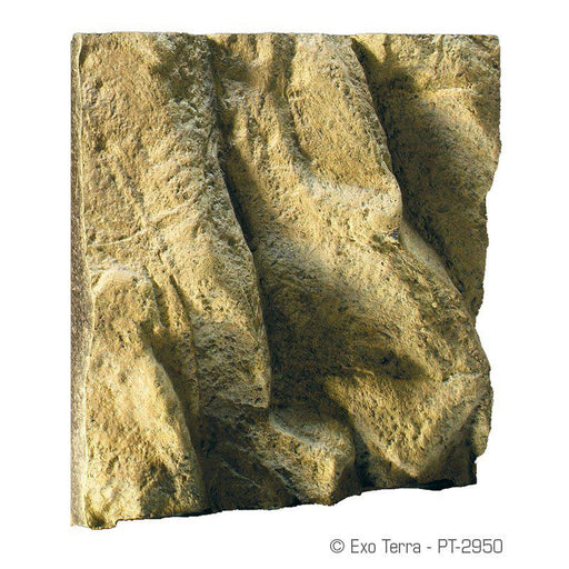 Bakgrund Rock Exoterra