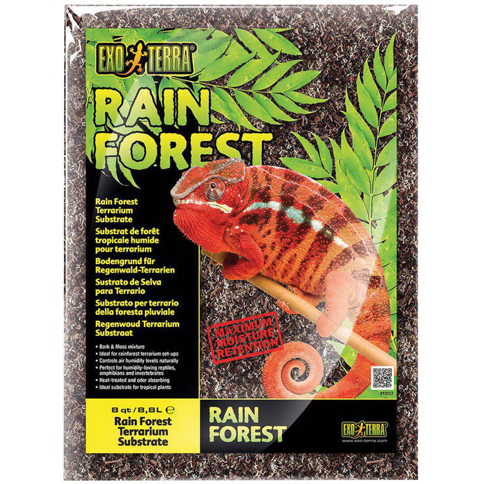 Rain Forest Substrate