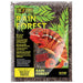 Rain Forest Substrate