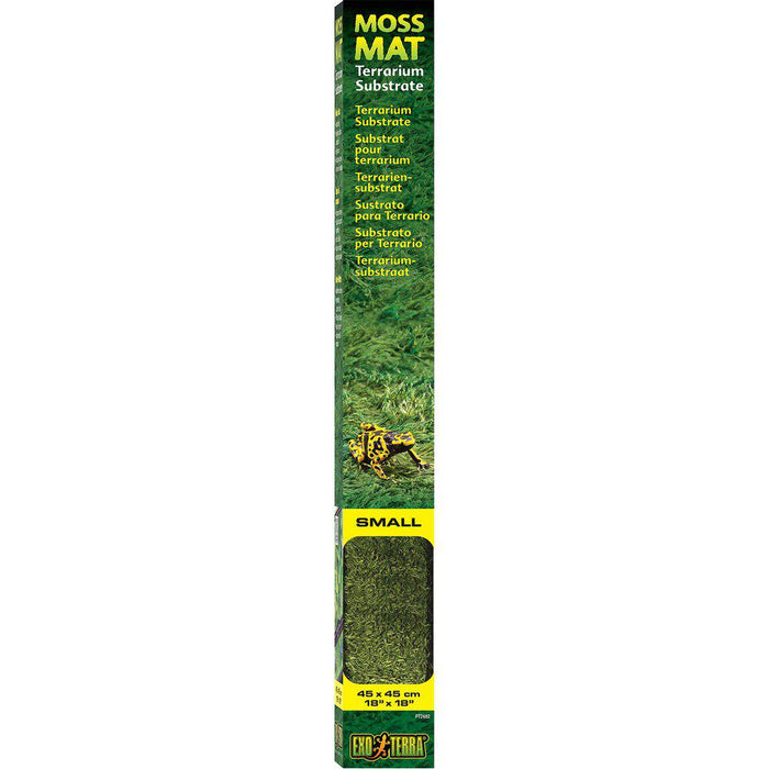 Moss Matta Exoterra