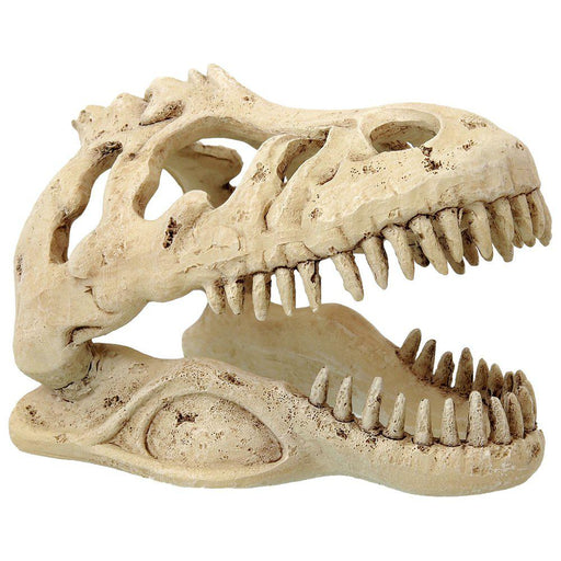 Rp Small T-rex Skull