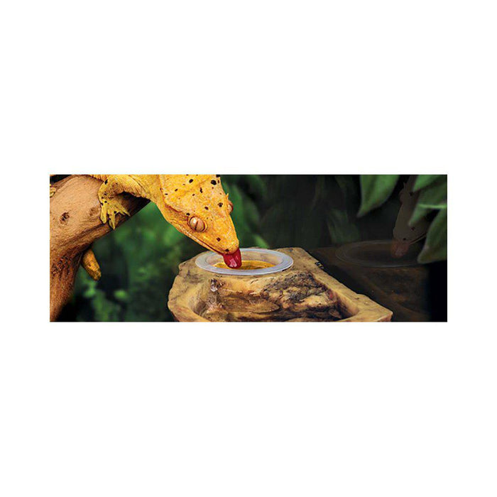 Canopy Combo Dish Exoterra