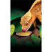 Crested Gecko Food 50gr 4st Exoterra