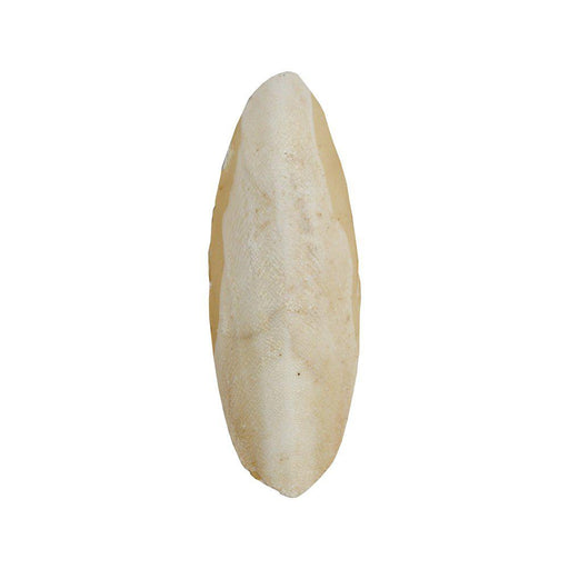 Sepiaskal 20cm 2250gr 1förp