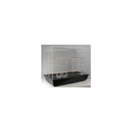 GD Bur Space Vit/svart 2 st