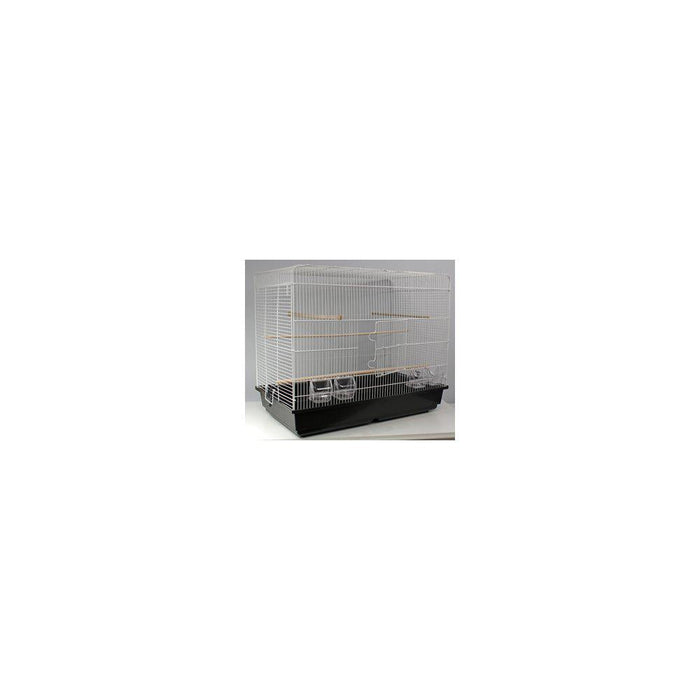 GD Bur Space Vit/svart 2 st
