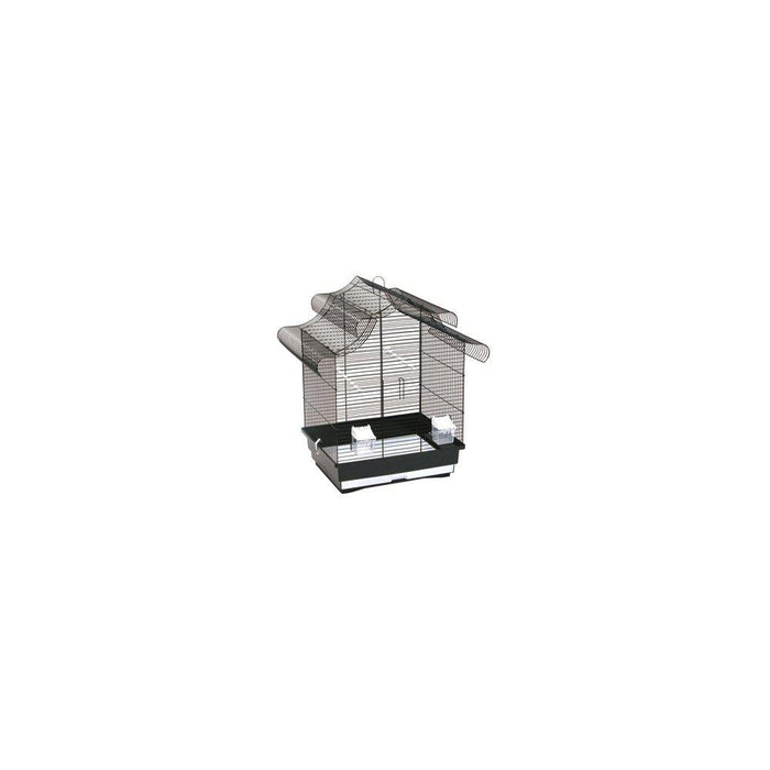 Rc K7 Gudrun Fink/undulatbur 2st