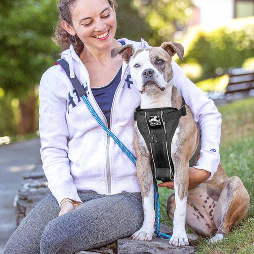 Kurgo Tru-fit Smart Harness W/seatbelttether