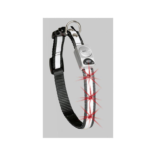 Halsband Nylon Reflex Led Svart