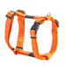 Rogz Fancy Dress Sele XL