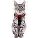 Flamingo Bilsele Katt 25mm