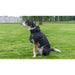Ozami Outdoor Jacket Rain Black