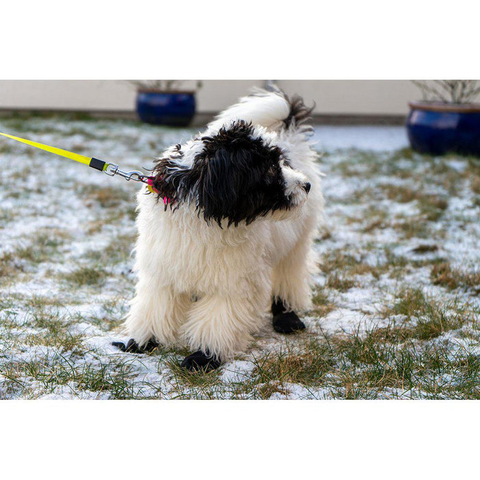 Långdistanssocka För Hund Svart