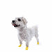 Pawz Dog Boots Color Xxs Yellow