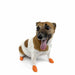 Pawz Dog Boots Color Xs Orange