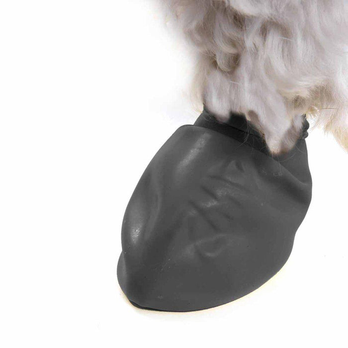 Pawz Dog Boots Black