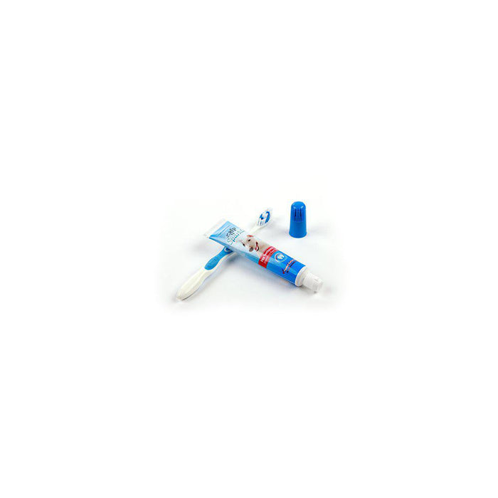 Dental Cleaning Setvaniljsmak