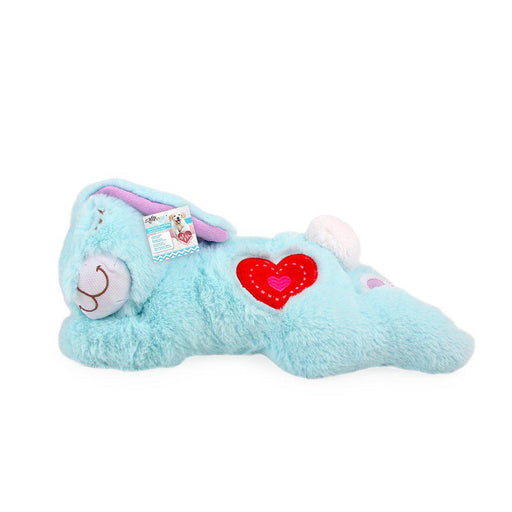 Hundleksak Little Buddy Heart Beat