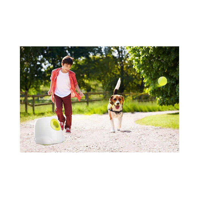 All For Paws Hundleksak Hyper Fetch Maxi Bollkastare