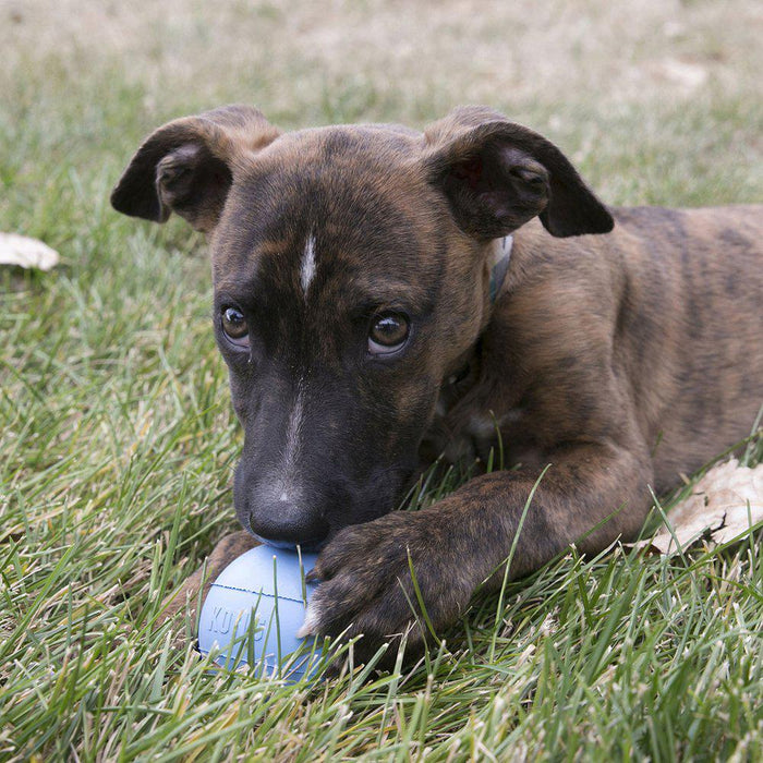 Kong Puppy Ball Medhål