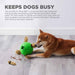 Outward Hound Dog Snuffle N' Treat Ball