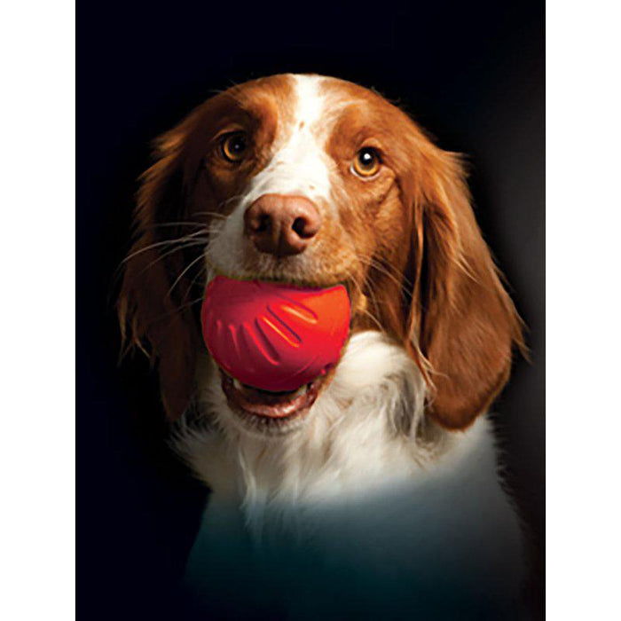 Starmark Foam Boll M Flyter