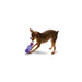 Busy Buddy Tug A Jug