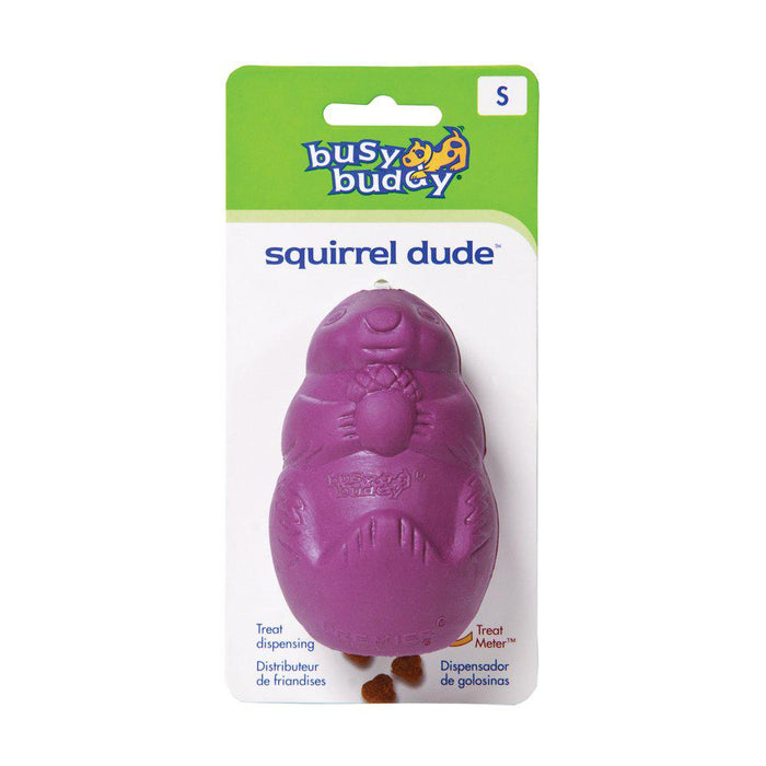 Busy Buddy Squirreldude