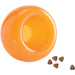 Outward Hound Planet Dog Lil Snoop Orange
