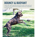 Outward Hound Planet Dog Football