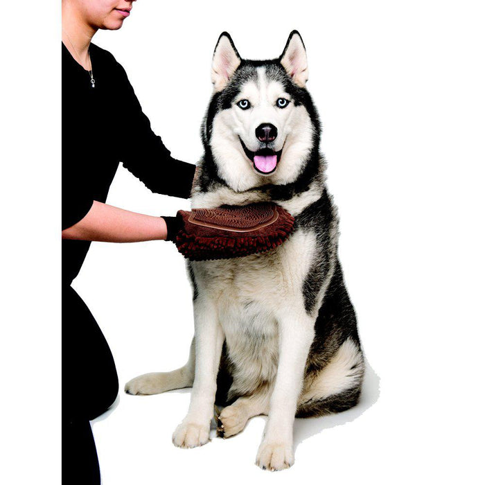Dgs Dirty Dog Grooming Handske 25x18cm