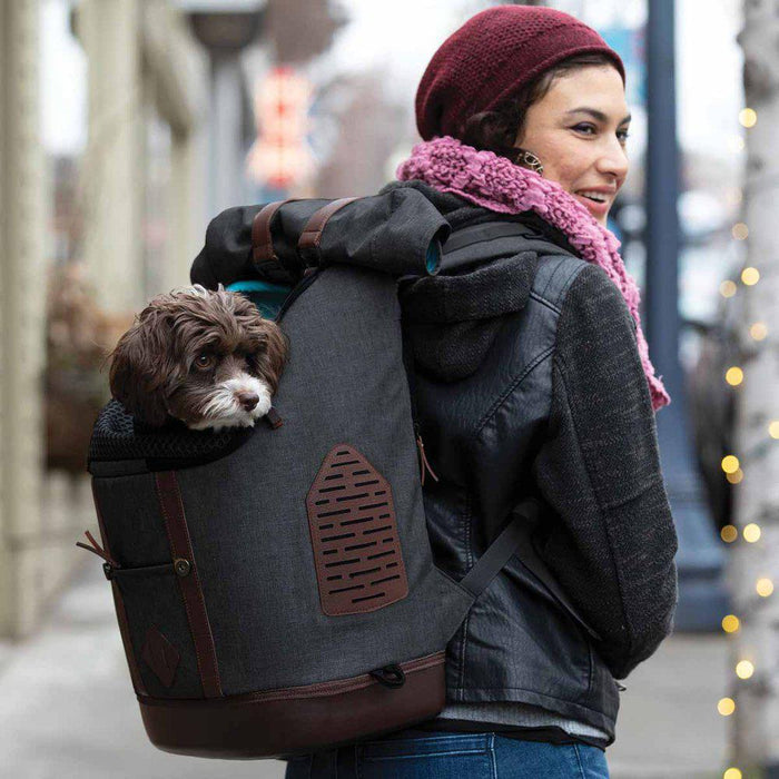 Kurgo K9 Rucksack Heather Black