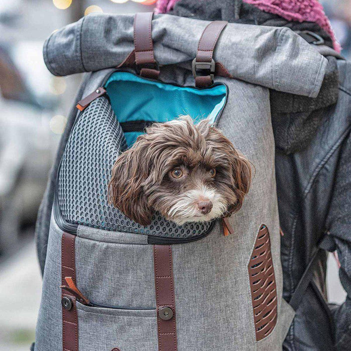 Kurgo K9 Rucksack Heather Grey