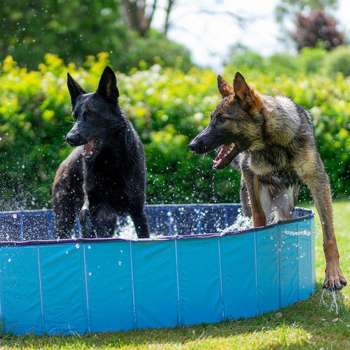 Dog Pool Ozami Blå