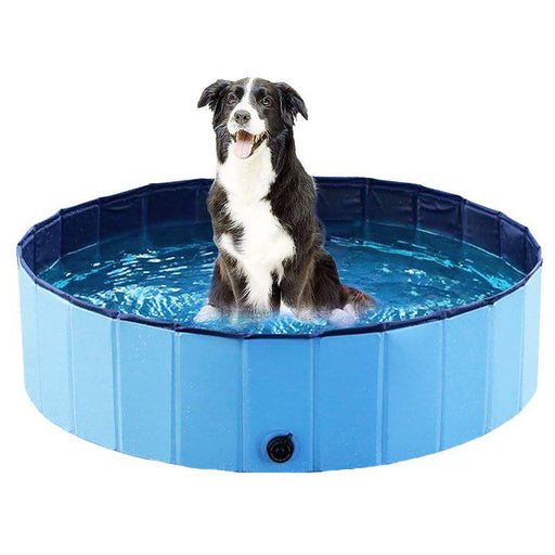 Dog Pool Ozami Blå