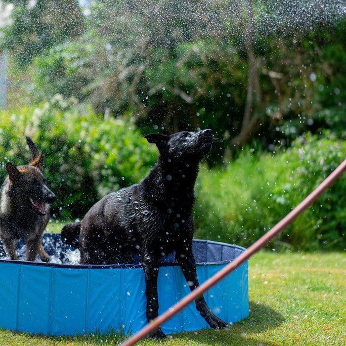 Dog Pool Ozami Blå